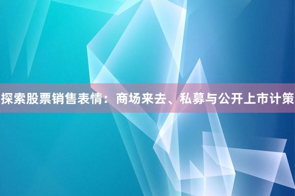 探索股票销售表情：商场来去、私募与公开上市计策